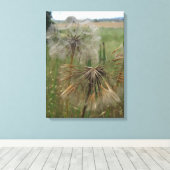 Salify Seeds in Field Wrapped Canvas Leinwanddruck (Insitu (Holzboden))