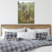 Salify Seeds in Field Wrapped Canvas Leinwanddruck (Insitu (Schlafzimmer))