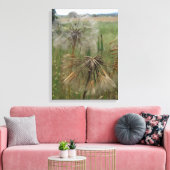 Salify Seeds in Field Wrapped Canvas Leinwanddruck (Insitu (Wohnzimmer))