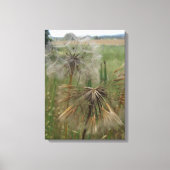 Salify Seeds in Field Wrapped Canvas Leinwanddruck (Vorderseite)