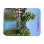 Salisbury # 8 magnet (Horizontal)