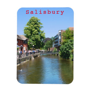 Salisbury # 8 magnet