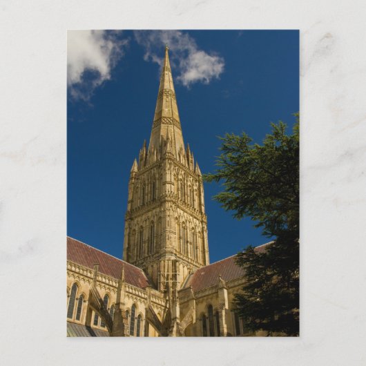 Salisbury Cathedral Postcard Postkarte (Vorderseite)