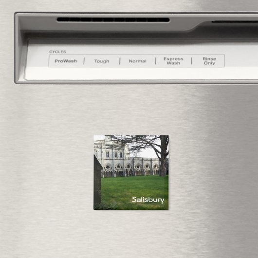 Salisbury Magnet (In Situ (Geschirrspüler))
