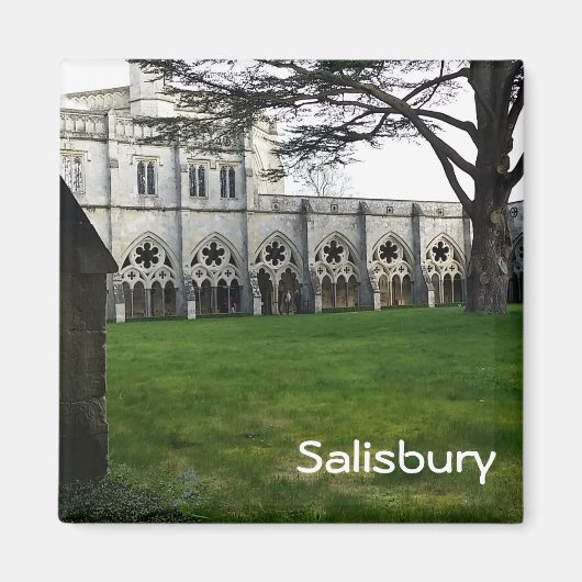 Salisbury Magnet (Vorne)