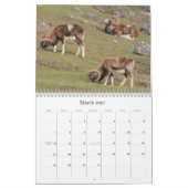 Salish Seewild lebende tiere 2012 Kalender (Mär 2027)