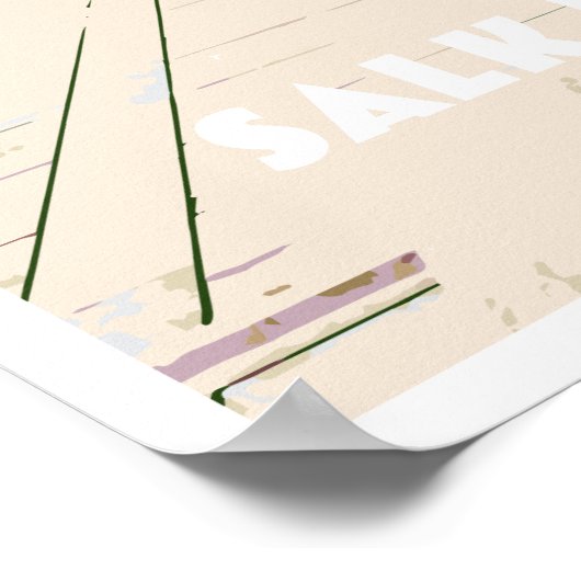 Salk Institute Poster (Ecke)