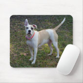 Sally - Ein geretteter Hund Mousepad (Mit Mouse)