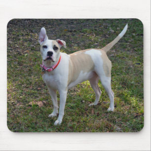 Sally - Ein geretteter Hund Mousepad