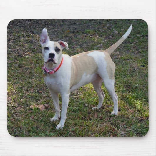 Sally - Ein geretteter Hund Mousepad (Vorne)