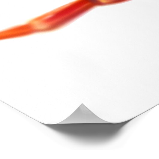 Sally Lightfoot Crab Poster (Ecke)