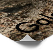 Sally Lightfoot Crab Poster (Ecke)