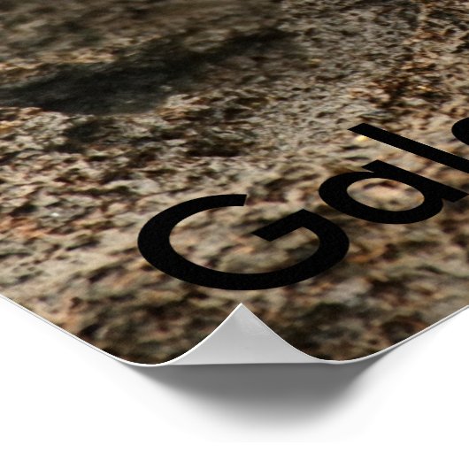 Sally Lightfoot Crab Poster (Ecke)