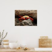 Sally Lightfoot Crab Poster (Küche)
