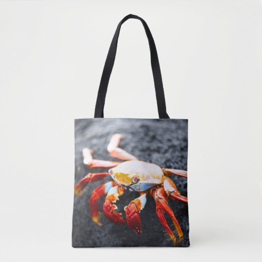 Sally lightfoot Krabbe auf einem schwarzen Tasche (Vorderseite)