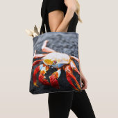 Sally lightfoot Krabbe auf einem schwarzen Tasche (Von Nahem)