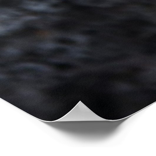 Sally Lightfoot krabbeln auf einem schwarzen Lavag Poster (Ecke)