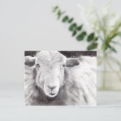 Sally the Sheep (a363) Postkarte (Stehend Vorderseite)