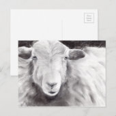 Sally the Sheep (a363) Postkarte (Vorne/Hinten)