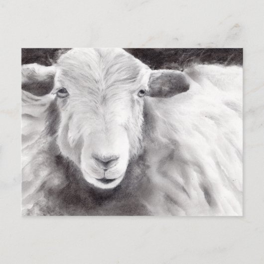 Sally the Sheep (a363) Postkarte (Vorderseite)