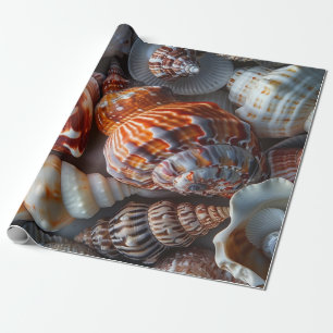 Sally verkauft Muscheln Geschenkpapier