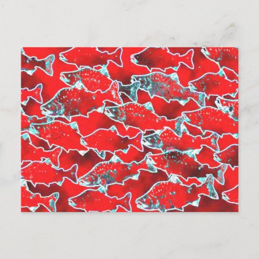 SALMON FISH REDS POSTKARTE (Vorderseite)