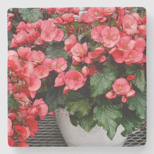 SALMON-PINK-IMPATIENS IN WEISSER POT STEINUNTERSETZER (Vorderseite)