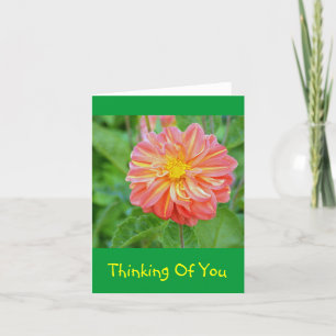 SALMON UND JELLOW FARBEN DAHLIA KARTE