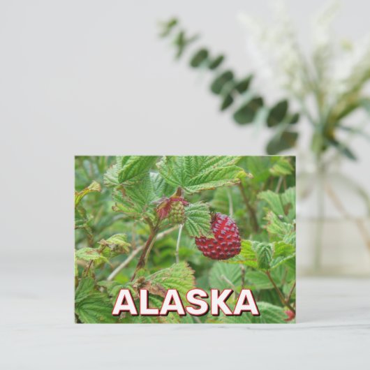 Salmonbeeren in Alaska Postkarte (Stehend Vorderseite)
