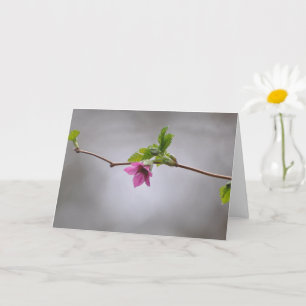 Salmonberry Blossom-Kunstkarte Karte