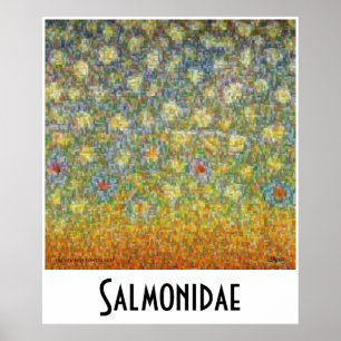 Salmonidae Skins Montage Postage Poster