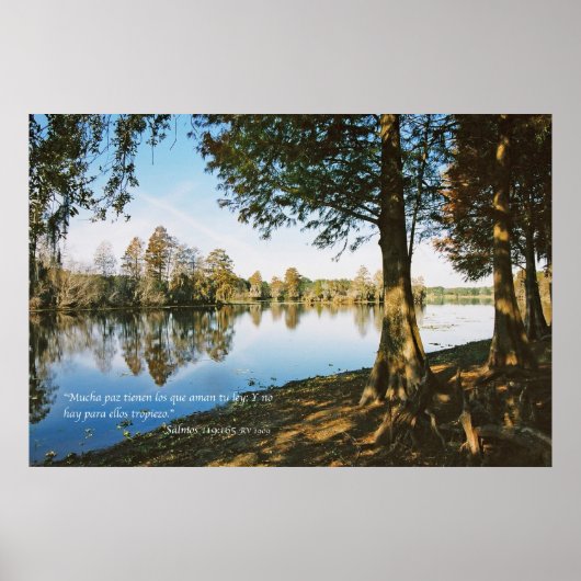 Salmos 119:165 poster (Vorne)