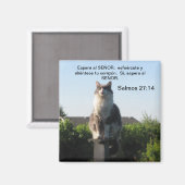 Salmos 27:14 y gato magnet (Vorderseite/Rückseite)
