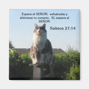 Salmos 27:14 y gato magnet