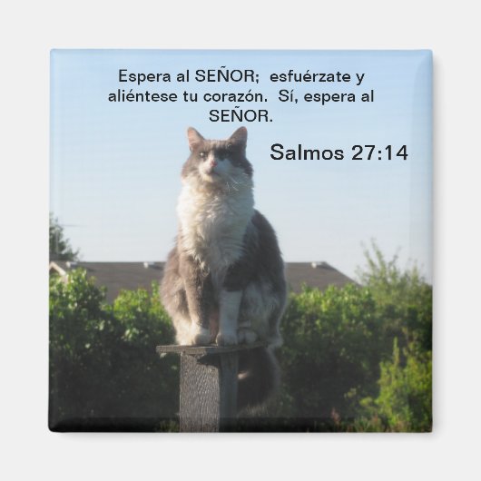 Salmos 27:14 y gato magnet (Vorne)