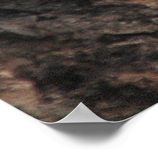 Salmos 27-5 con Ardilla Poster (Ecke)