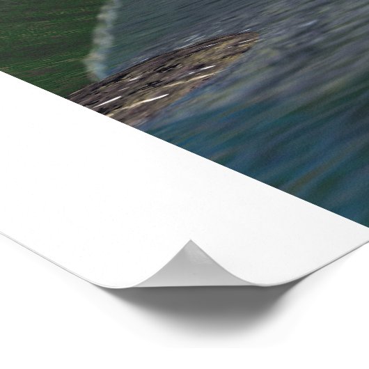 Salohcin Tropical Moon Poster (Ecke)