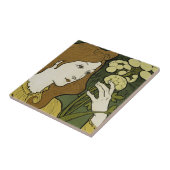 Salon des Cent ~ Exposition de E. Grasset Fliese (Seite)