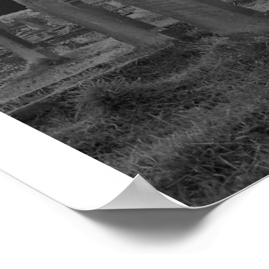 salorisiert poster (Ecke)