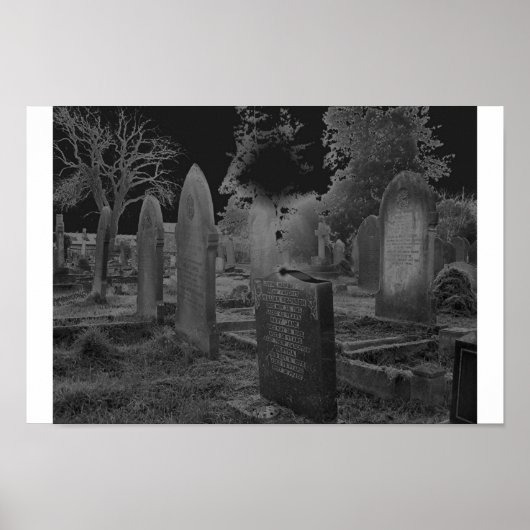 salorisiert poster (Vorne)