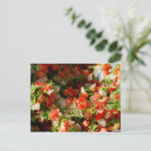 Salsa Irgendjemand? Postkarte (Stehend Vorderseite)