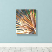 Salsify Spiky Seed Pod Leinwanddruck (Insitu (Holzboden))