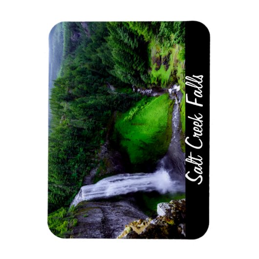 Salt Creek Falls Oregon Magnet (Vertikal)