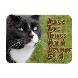 Salt Grain Motivation Kat Förderung Zitat Magnet