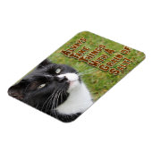 Salt Grain Motivation Kat Förderung Zitat Magnet (Linke Seite)