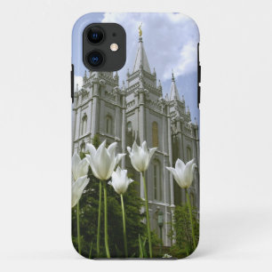Salt Lake City LDS Temple Case