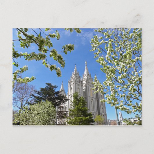 Salt Lake City Temple im Frühjahr. Postkarte (Vorderseite)