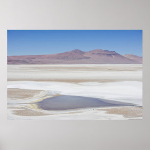 Salt Lake On The Road To Argentina Poster