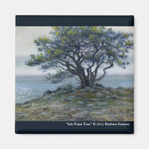 “Salt Point Baum” Magnet