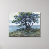 ‚Salt Point Tree‘ Leinwanddruck (Vorderseite)